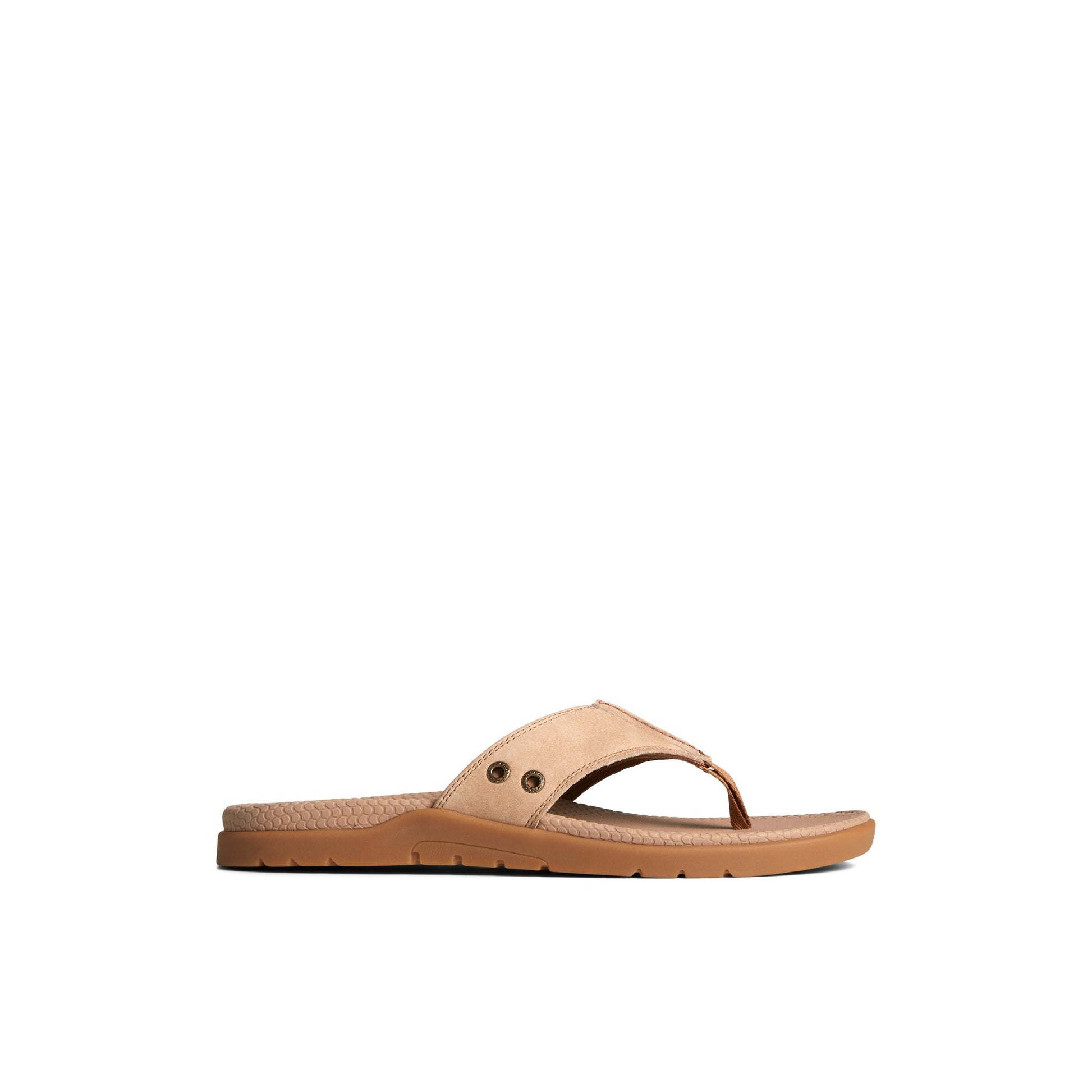 Support produit pour Sandale tong Santa Cruz II