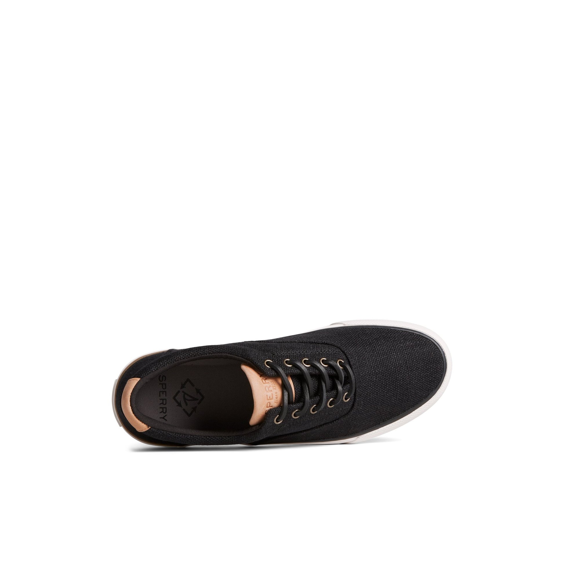 Top-down view of the Black SeaCycled™ Striper II CVO Baja Sneaker Vulcanized Sneaker