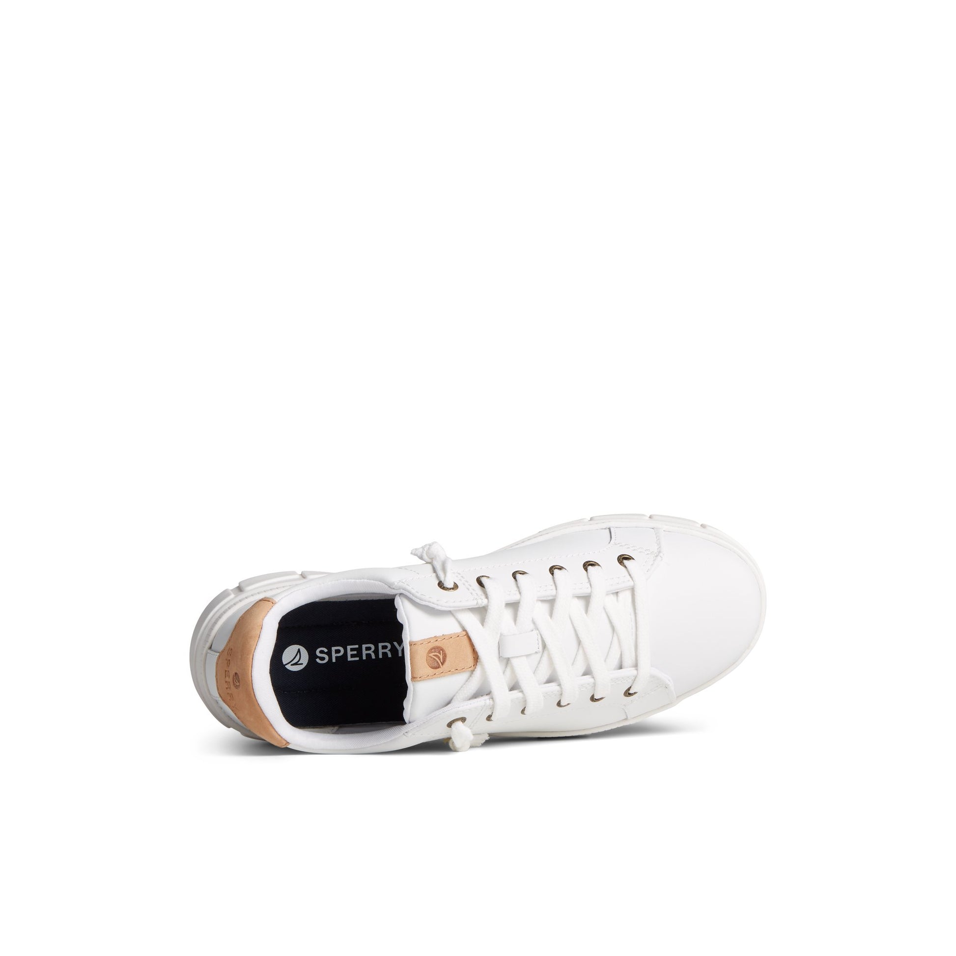 Top-down view of the White Winslow Leather Sneaker Low Top Sneakers