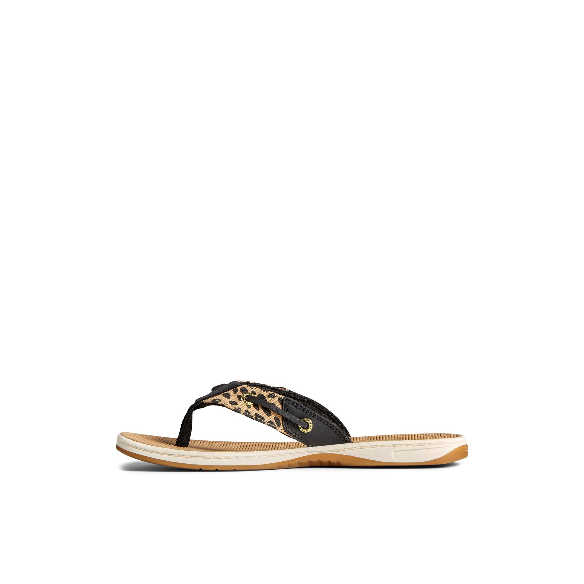 Side view of Brown Primary - Multi Seafish 3 Flip Flop Sandal