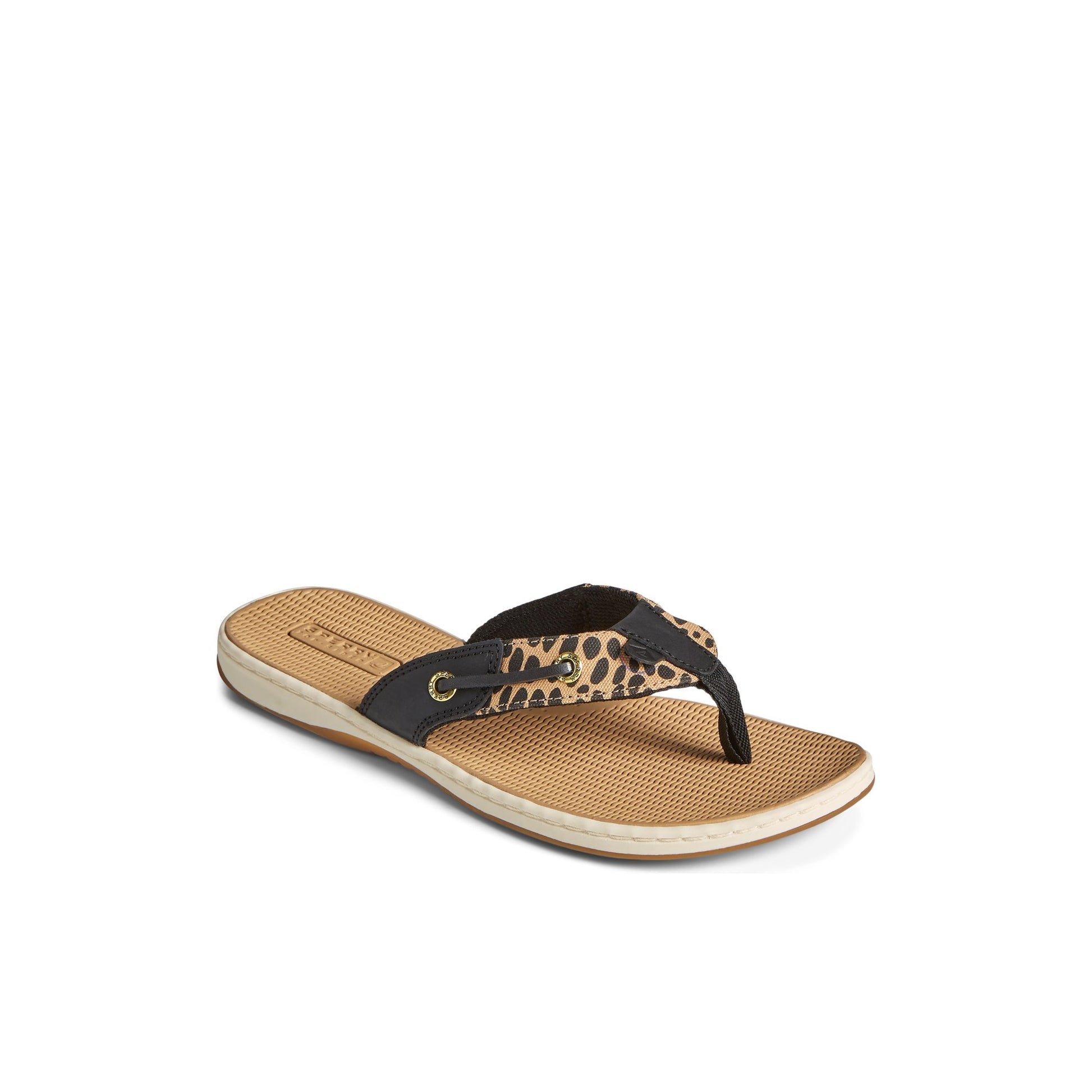 Three-quarter angle of Brown Primary - Multi Seafish 3 Flip Flop Sandal 's front side