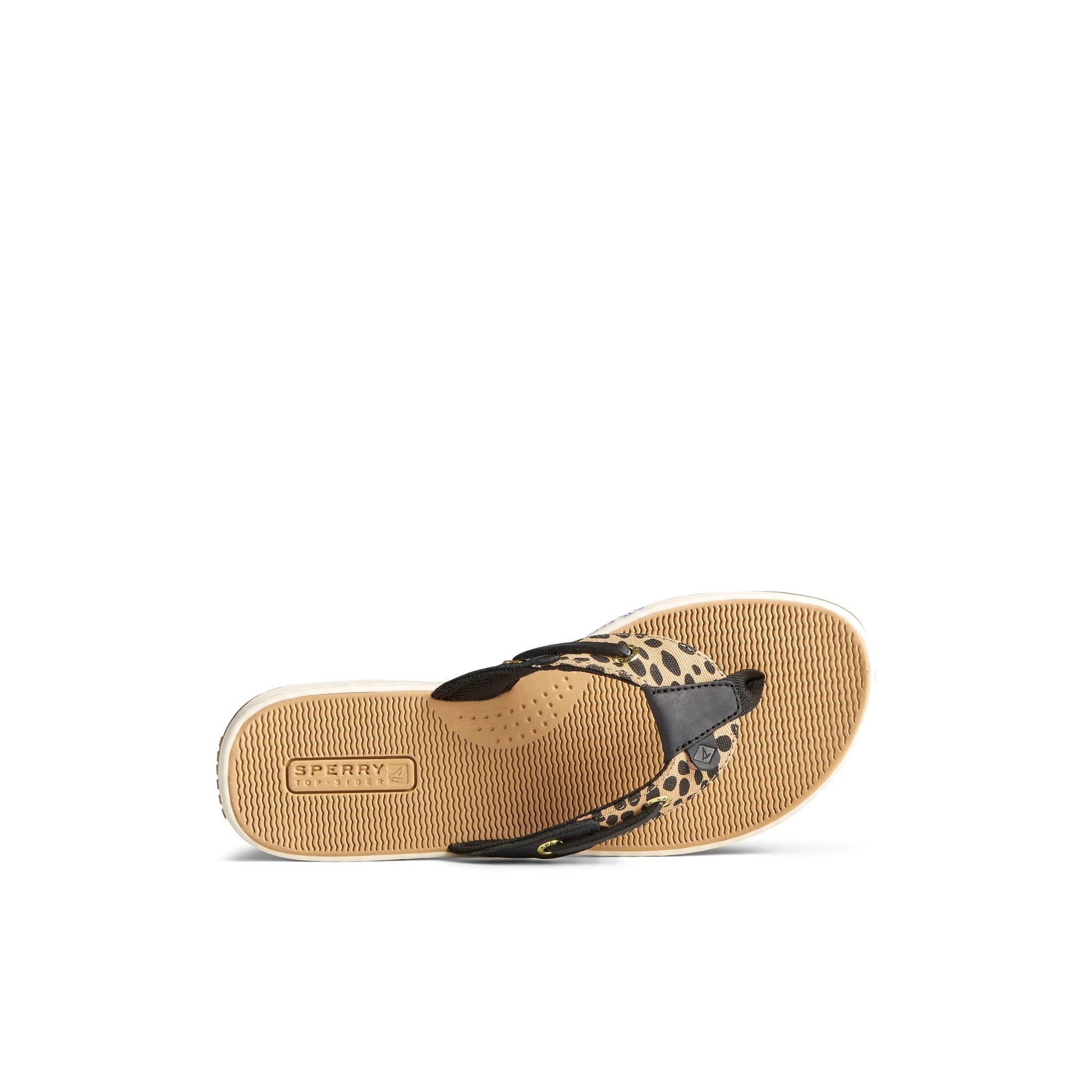 Top-down view of the Brown Primary - Multi Seafish 3 Flip Flop Sandal