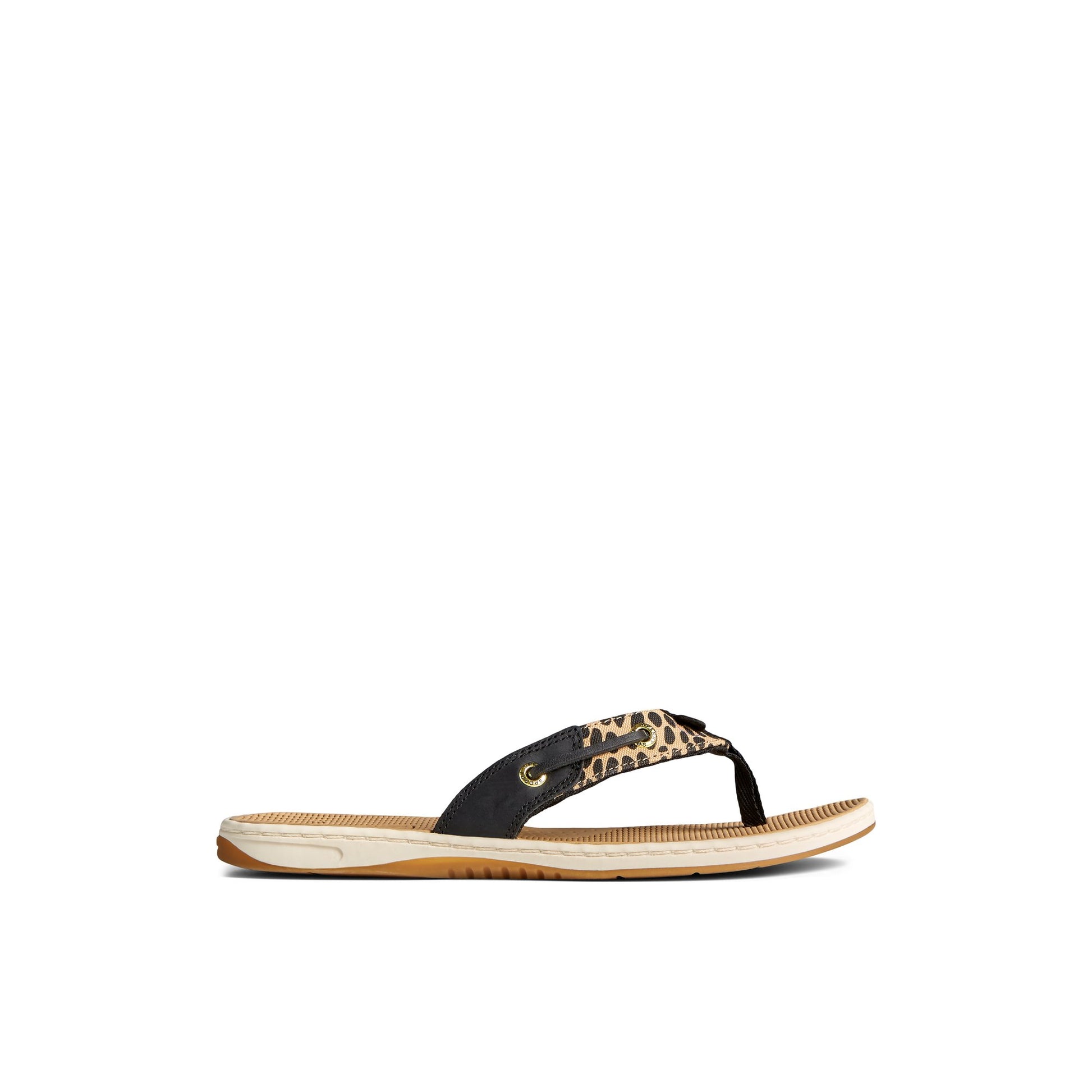 Main View of Brown Primary - Multi Seafish 3 Flip Flop Sandal  for Womens