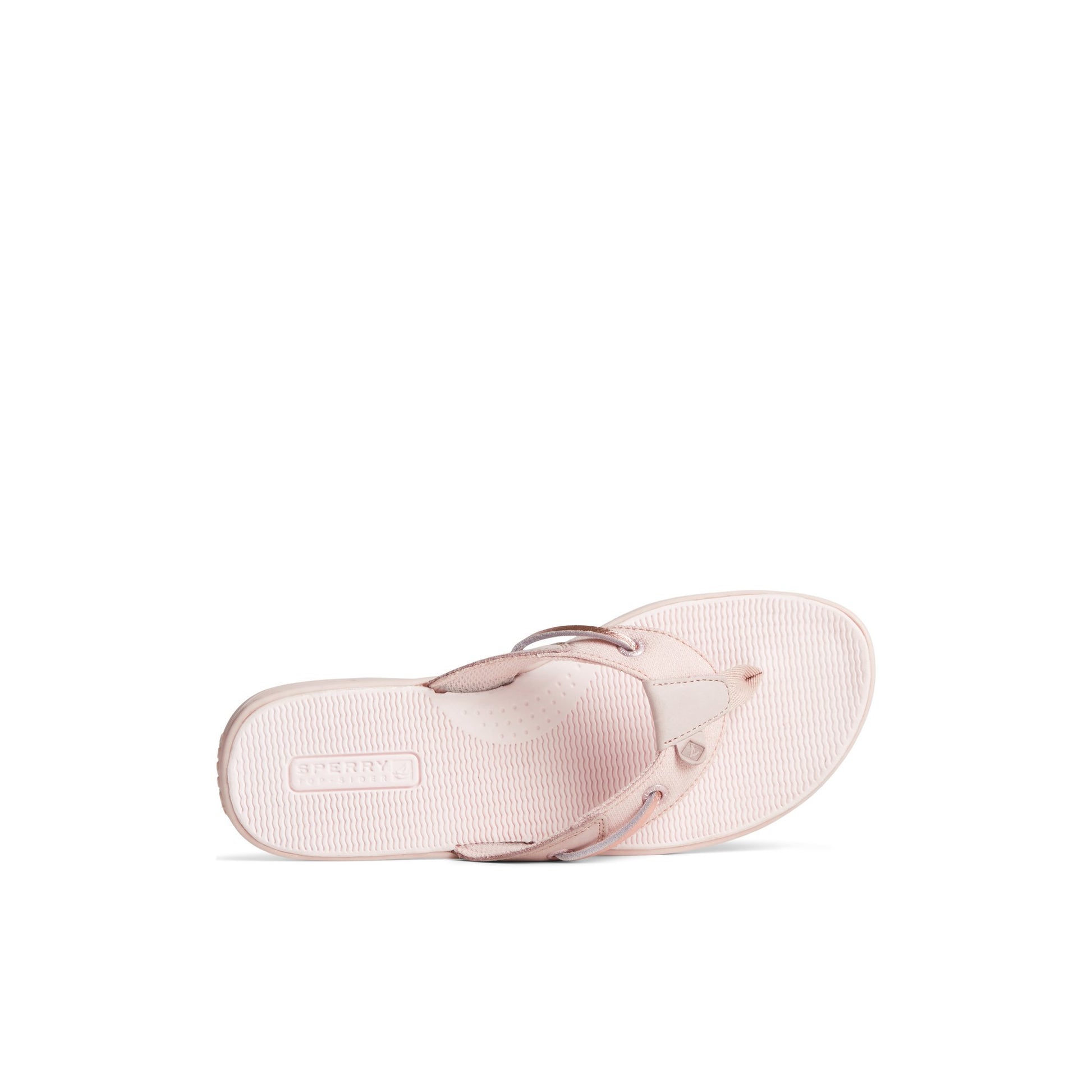 Top-down view of the Medium Pink Seafishirid_wm