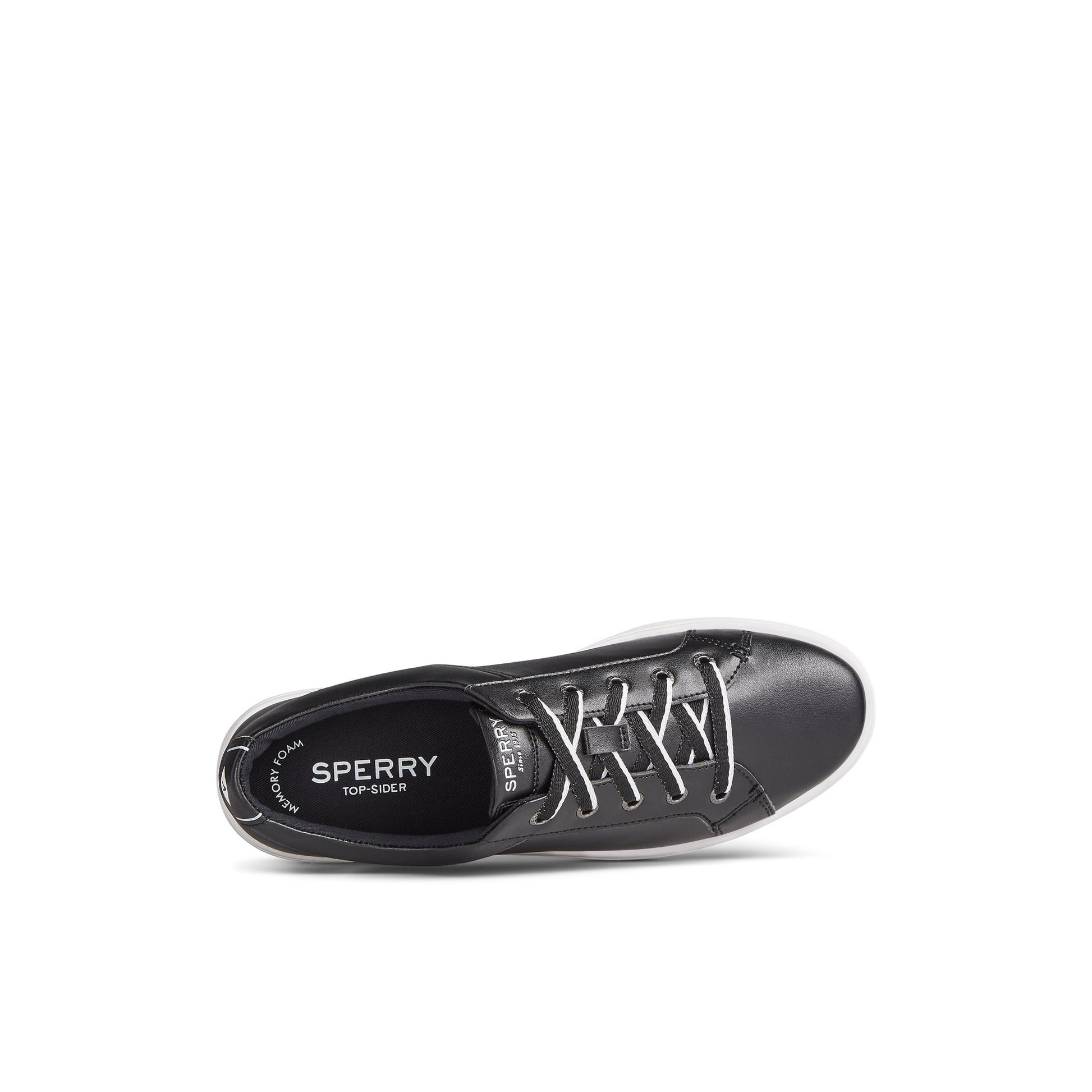 Top-down view of the Black Charter LTT Sneaker Low Top Sneakers