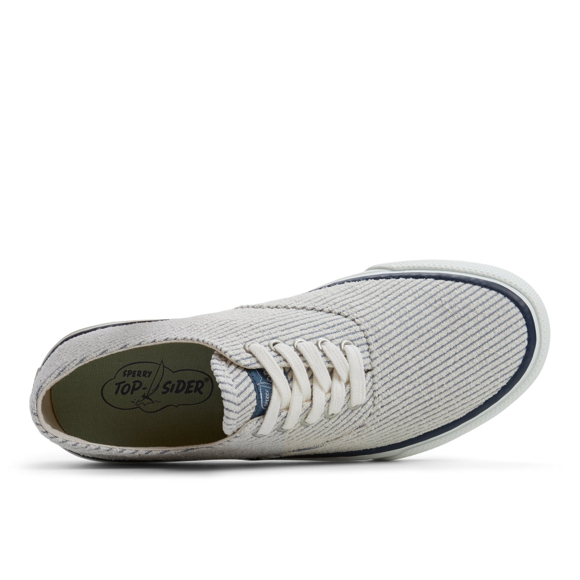 Top-down view of the White/blue Classic CVO Sneaker Low Top Sneakers