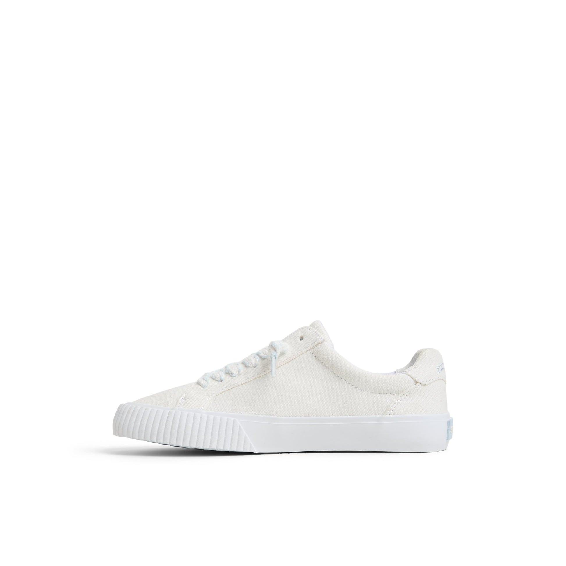 Support produit pour Baskets Bermuda LTT