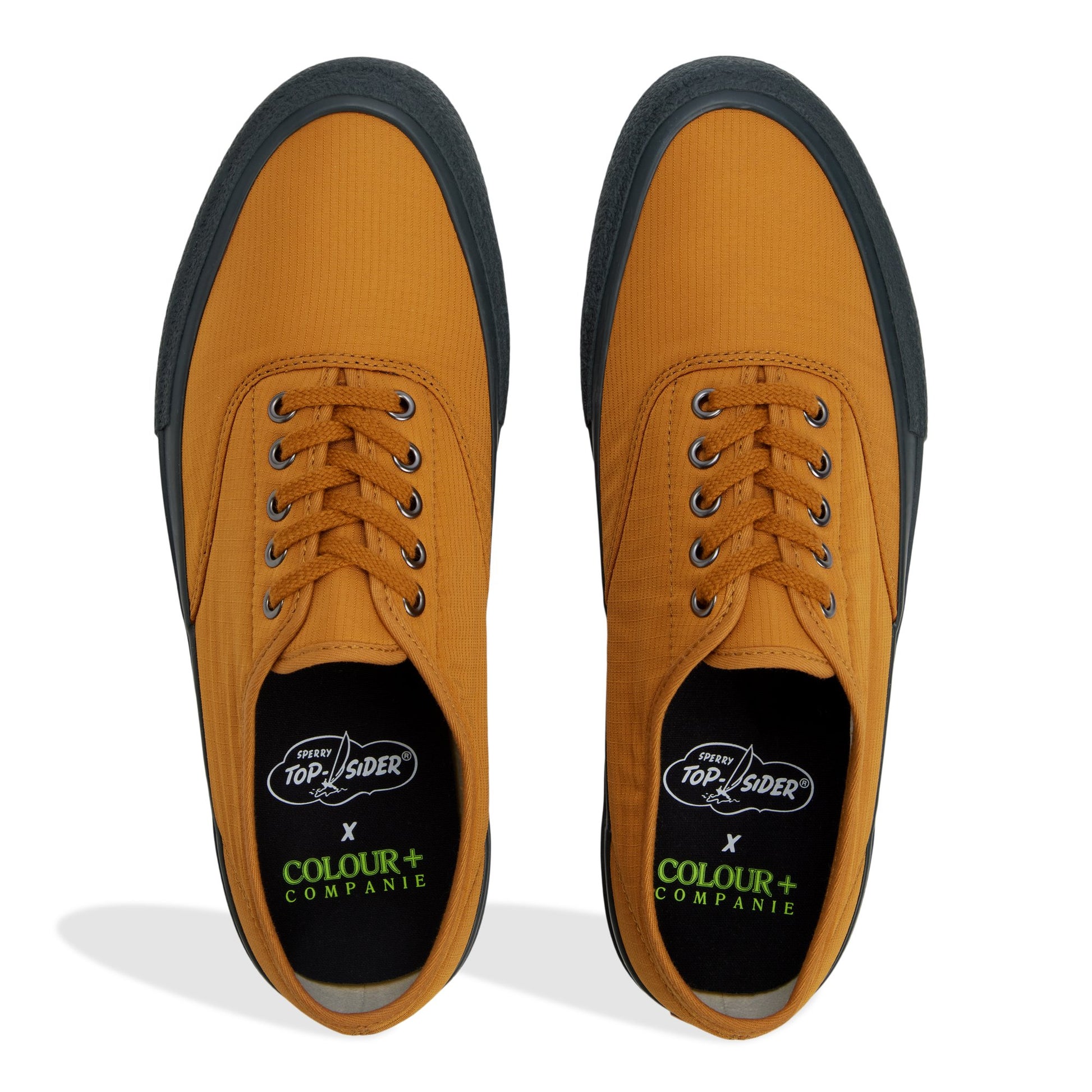 Top-down view of the Wheat Sperry x Colour Plus Companie CVO Low Top Sneakers