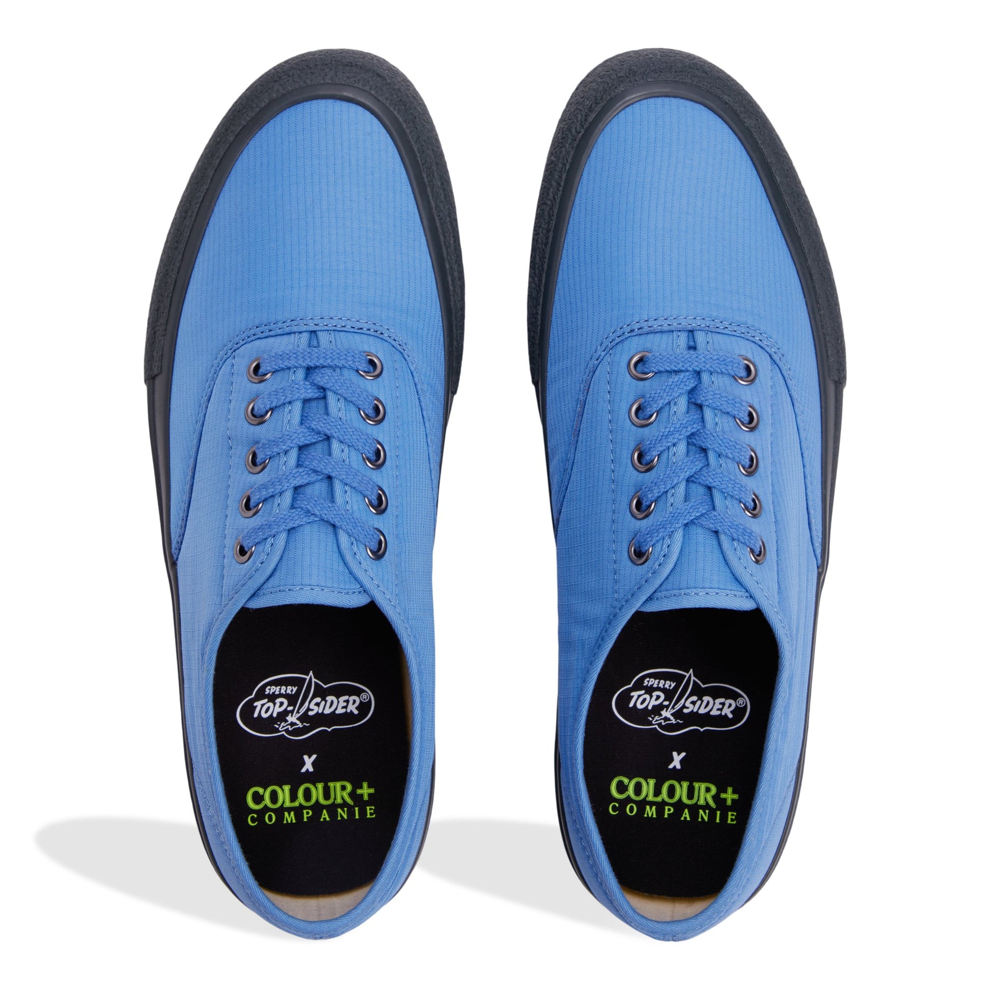 Top-down view of the Blue Sperry x Colour Plus Companie CVO Low Top Sneakers