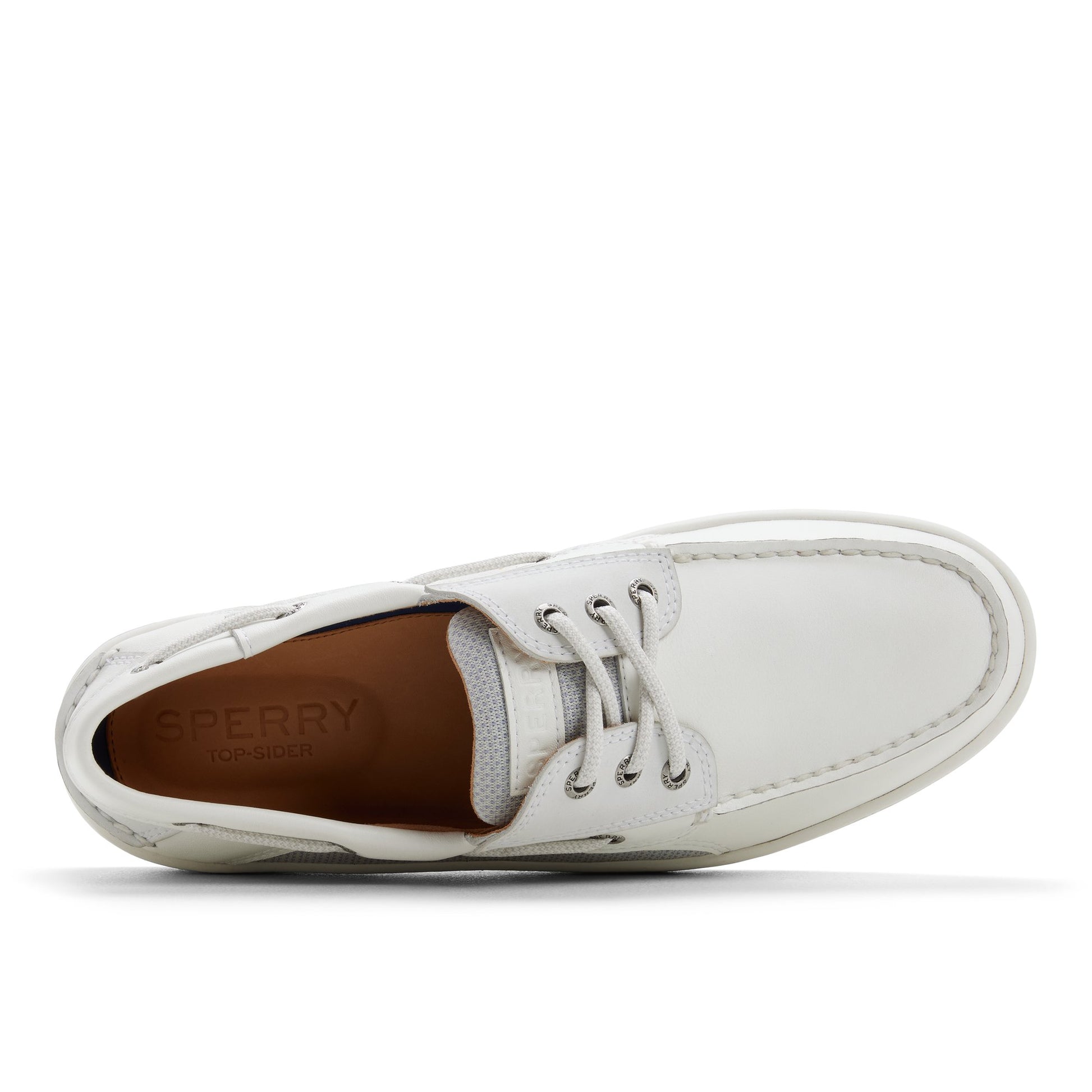 Support produit pour Poisson à bec 3ey_mm