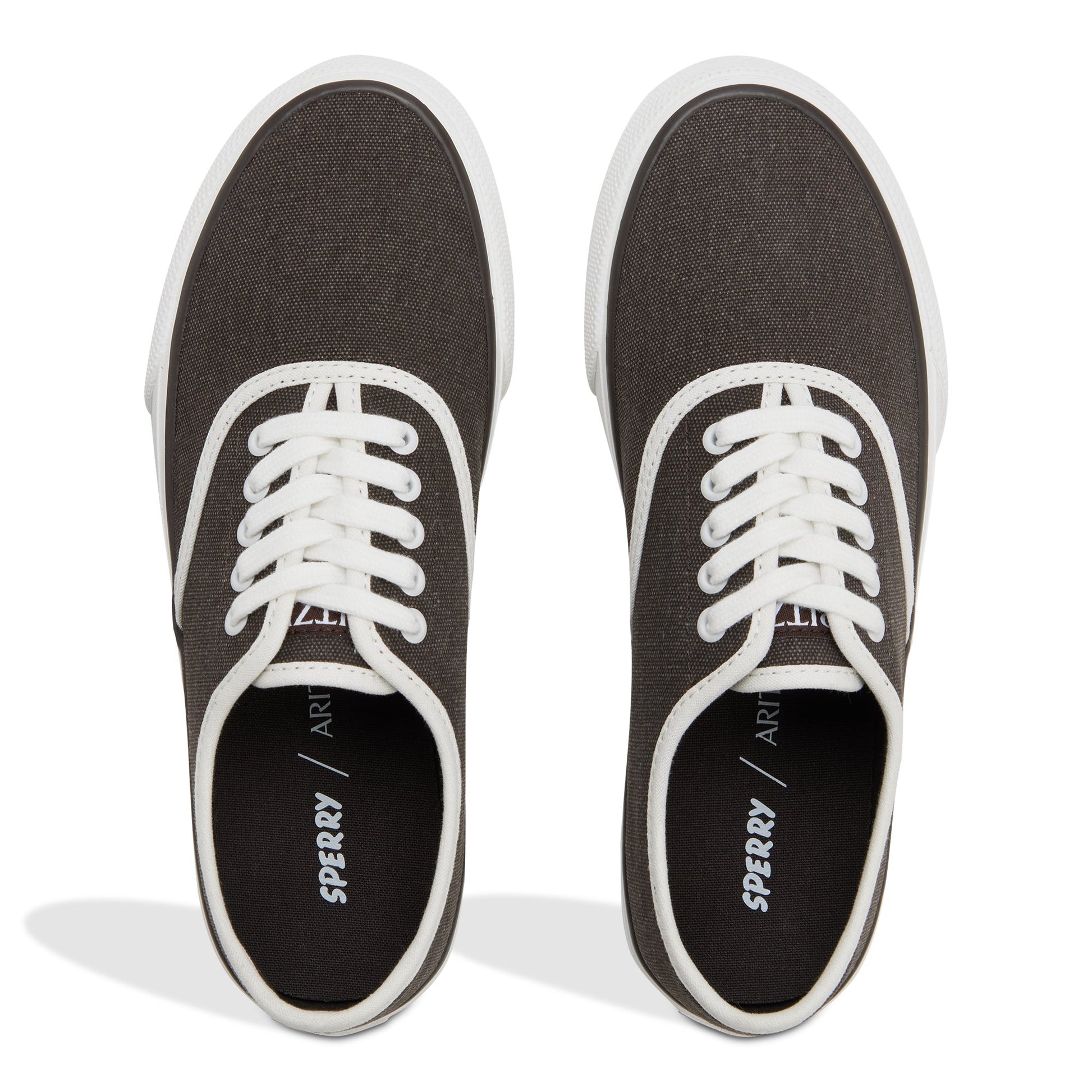 Top-down view of the Dark brown Sperry x Aritzia CVO Sneaker Low Top Sneakers